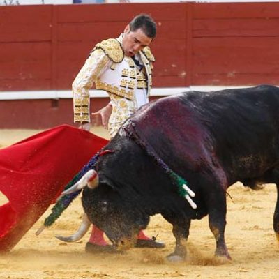 Reses de Partido de Resina y Miura en dos corridas de toros los días 19 y 20 de junio en Cuéllar