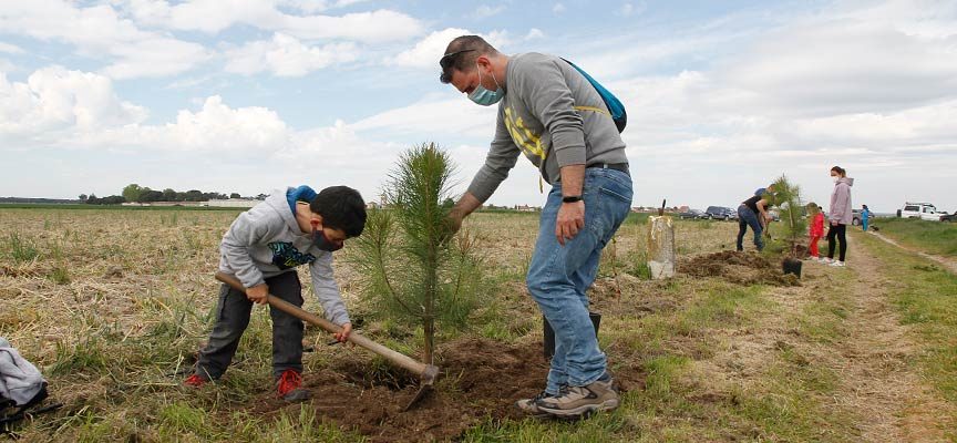 La Asociación El Espadañal organiza una plantación de árboles en Fuentes de Cuéllar