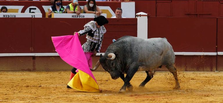 Morenito de Aranda, Javier Herrero y Álvaro Lorenzo abrirán los festejos de la Feria Taurina de Cuéllar 2025