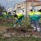 Medio Ambiente inicia la plantación de árboles en el Puente del Segoviano y Dehesa Mayor