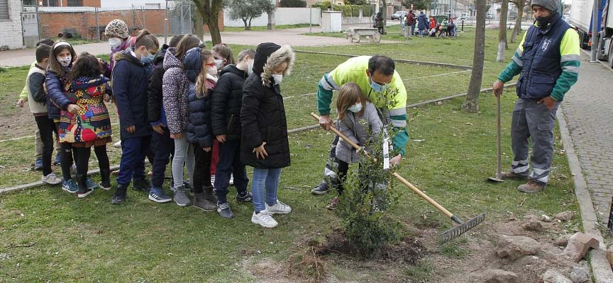 El Ayuntamiento de Cuéllar denuncia el robo de árboles y arbustos en espacios y jardines públicos