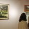 Los pinares castellanos protagonizan la exposición de José Luis Zorita en Tenerías