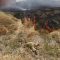 Alarma en Cuéllar por un incendio que ha afectado a una importante superficie de tierras de secano