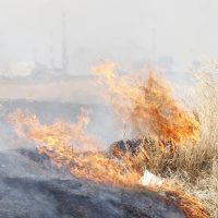 La Junta declara `situación de alarma´ hasta el martes por el riesgo de incendios forestales