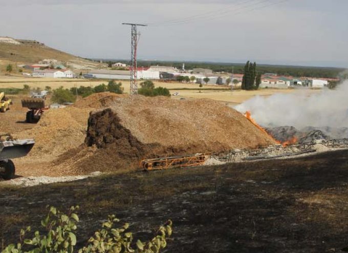 Medio Ambiente cifra en 230 hectáreas las afectadas por el incendio en Cuéllar