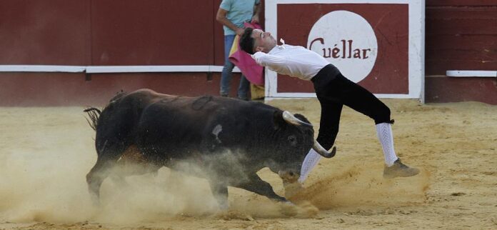 Concurso de cortes de Cuéllar 2022