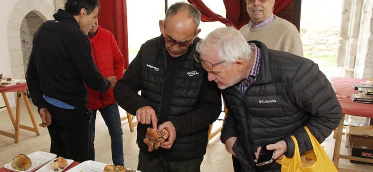 Las Jornadas Micológicas regresarán a Cuéllar los días 22 y 23 de noviembre