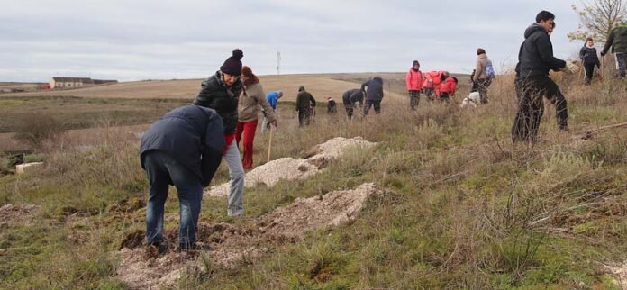 Plantación de árboles en Fuentes de Cuéllar organizada por El Espadañal