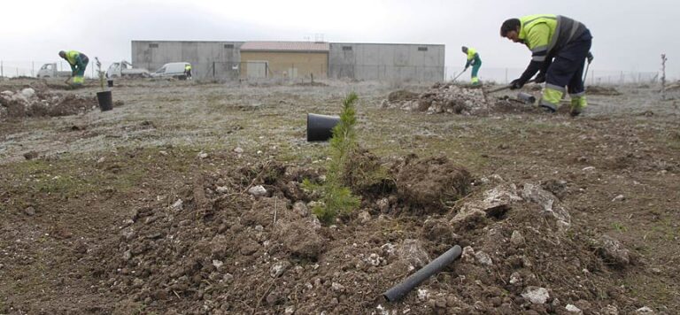 La Diputación impulsa la plantación de más de 3.300 árboles en la provincia