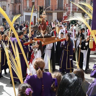 La imagen de la Borriquilla recorre las calles de Cuéllar en el Domingo de Ramos
