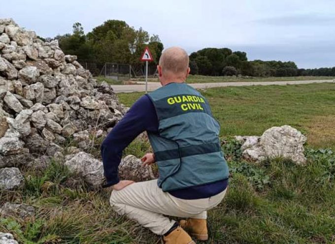 La Guardia Civil investiga a dos personas por sendos hurtos de pinos y piedra en Cuéllar