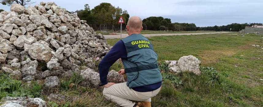 La Guardia Civil investiga a dos personas por sendos hurtos de pinos y piedra en Cuéllar