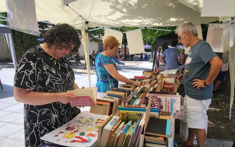 Torregutiérrez se llenará de cultura y música el domingo 27 de julio con su III Feria del Libro