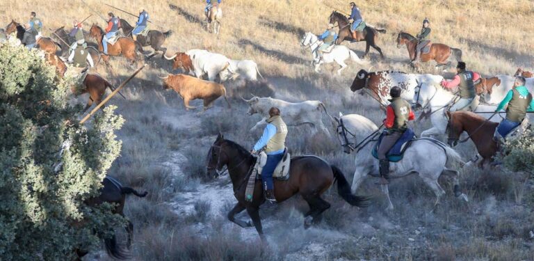El Ayuntamiento de Cuéllar abre mañana la inscripción para los 200 caballistas que acompañarán a los encierros