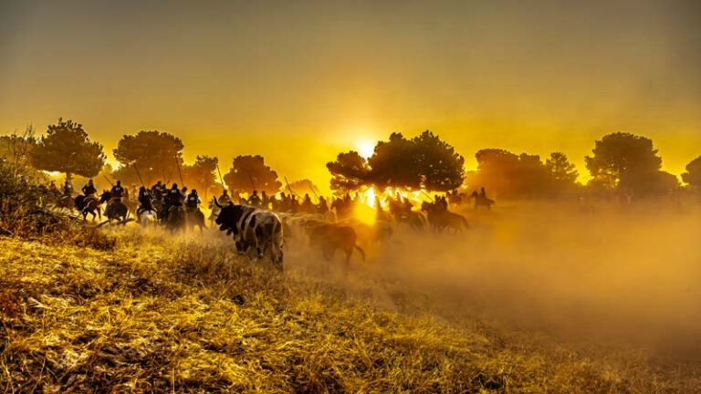 El Ayuntamiento de Cuéllar convoca una nueva edición del ‘Concurso Fotográfico Fiestas de Cuéllar’