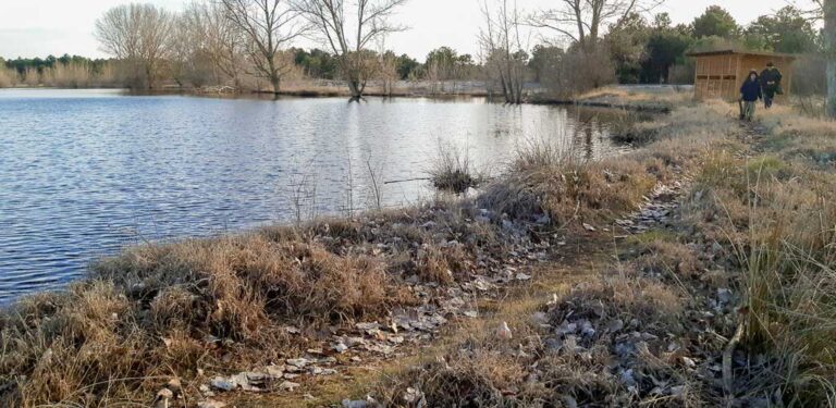 La Junta realizará actuaciones de mejora ecológica en el humedal de El Espadañal