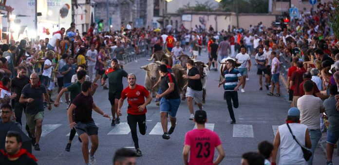 Suelta nocturna de reses celebrada en Cuéllar en 2024. | Foto: Gabriel Gómez |