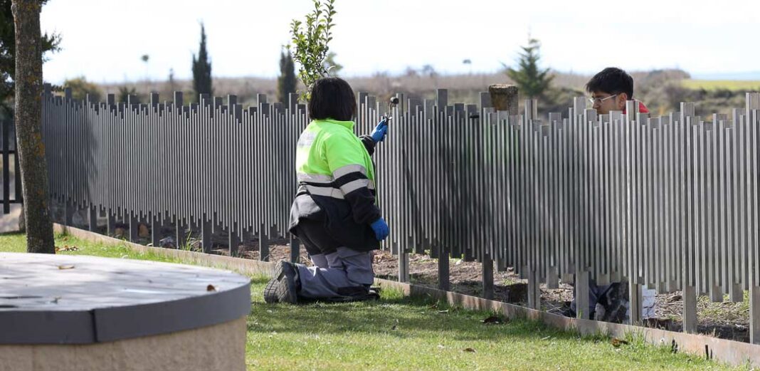 Trabajos dentro del Programa Mixto de Formación y Empleo concedido al Ayuntamiento de Cuéllar para la tercera fase de adecuación del entorno de la iglesia de Santa María de La Cuesta. | Foto: Gabriel Gómez |