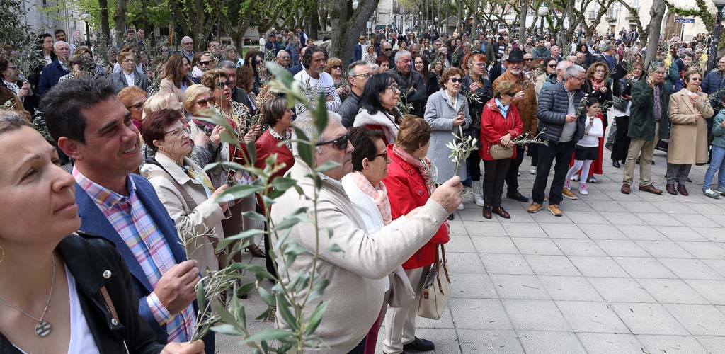 procesion-domingo-ramos-semana-santa-2025-ES-GGG_0273 Procesión del Domingo de Ramos de Cuéllar de 2025. | Foto: Gabriel Gómez |