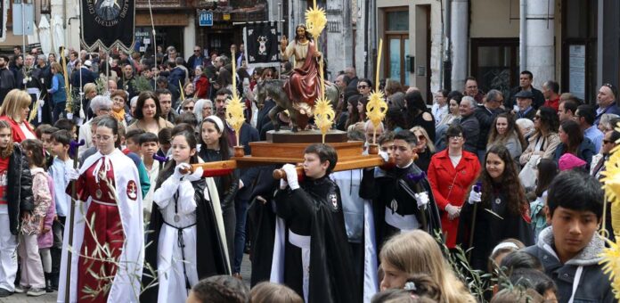 Procesión del Domingo de Ramos de Cuéllar de 2025. | Foto: Gabriel Gómez |