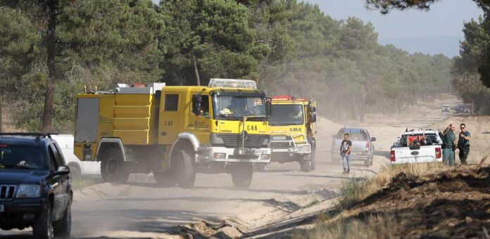 Incendio en un pinar de Frumales. | Foto: Gabriel Gómez |