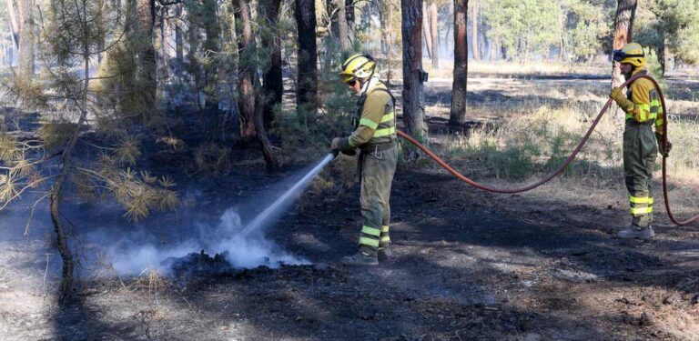 Más de 40 hectáreas de pinar afectadas por un incendio en Frumales