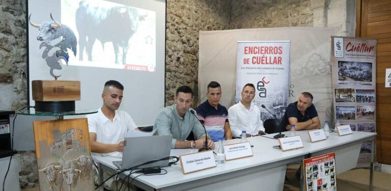 El elenco ganadero de los encierros de Cuéllar 2025 recibe el ‘aprobado’ de corredores y aficionados