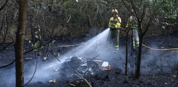 Incendio en el pinar en el paraje de La Corredera, en Cuéllar. | Foto: Gabriel Gómez |