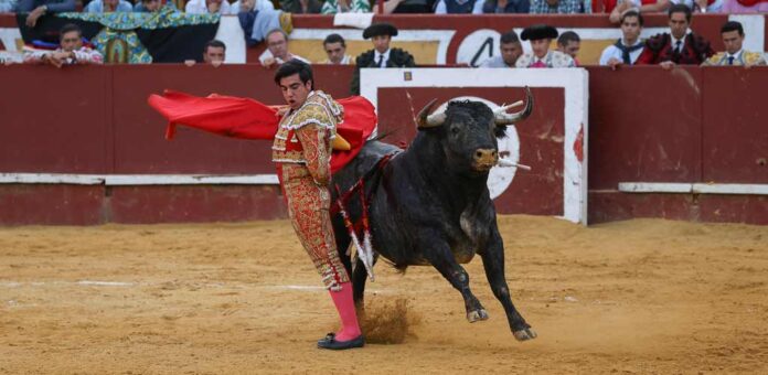 Corrida de toros de Partido de Resina del Lunes de 2025. | Foto: Gabriel Gómez |