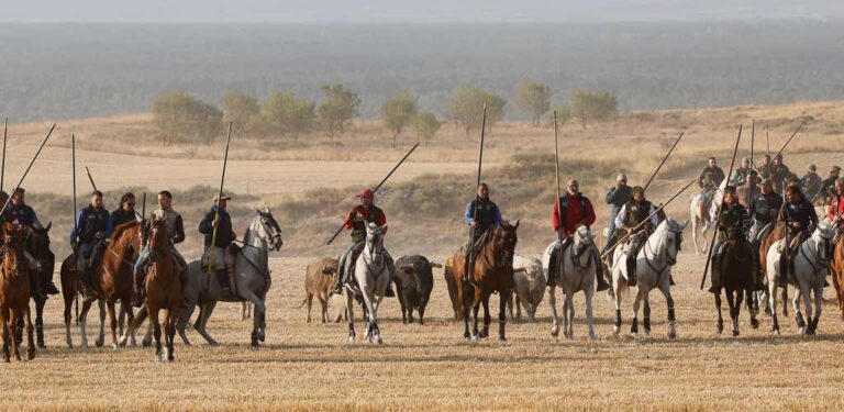 El Ayuntamiento de Cuéllar abre mañana la inscripción de caballistas autorizados para los Encierros de Cuéllar 2026