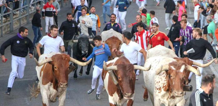Encierro de Partido de Resina en la avenida de los Toros. | Foto: Carlos Montero |