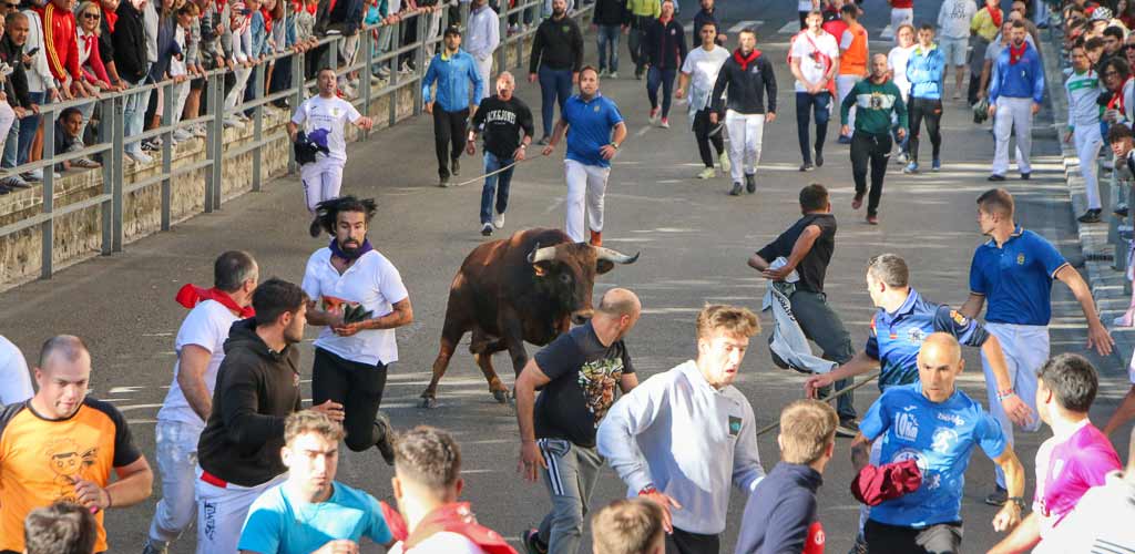 encierro-miercoles-cuellar-2025-paseos-ES-CM_2152