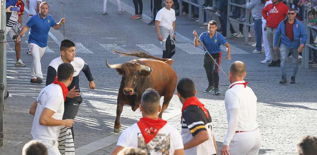 encierro-miercoles-cuellar-2025-paseos-ES-GGG_0177