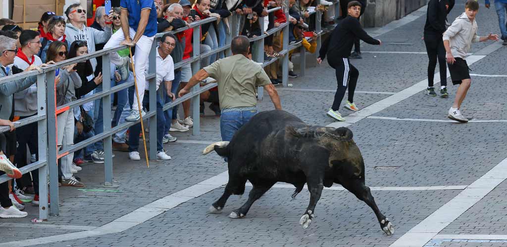 encierro-miercoles-cuellar-2025-paseos-ES-GGG_0269 Encierro del Miércoles de 2025. | Foto: Gabriel Gómez |