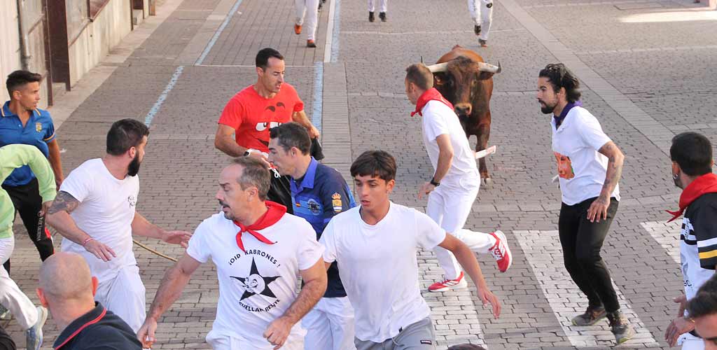 encierro-miercoles-cuellar-2025-paseos-ES-NPM_8860 Encierro del Miércoles de 2025. | Foto: Nuria Pascual |