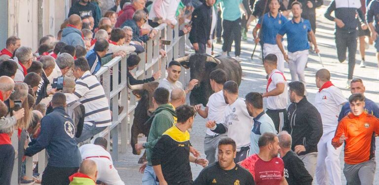 Los novillos de Montes de Oca protagonizan un complicado encierro en Cuéllar