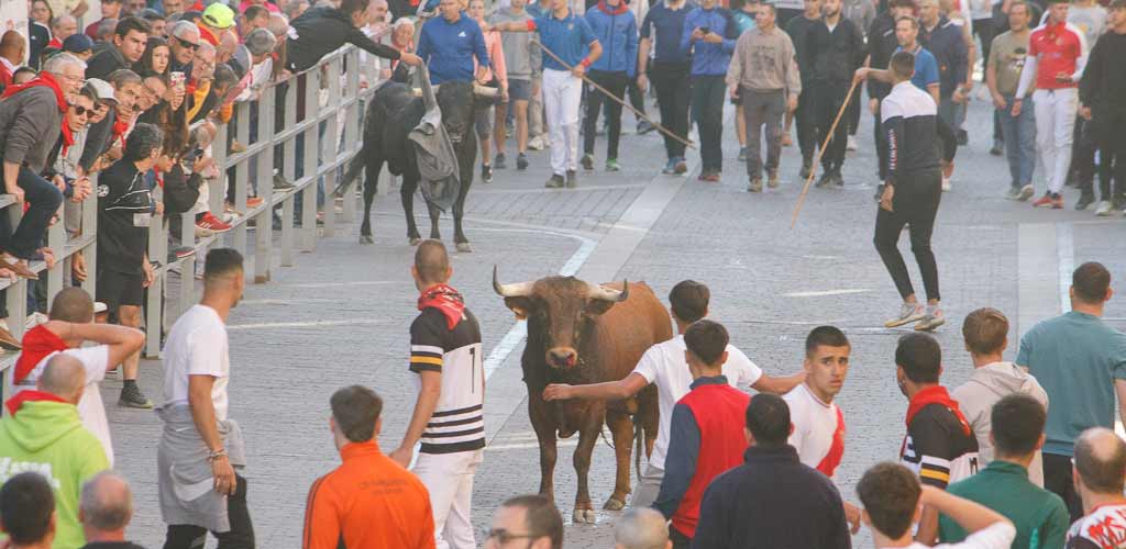encierro-miercoles-cuellar-2025-paseos-ES-RG_9147 Encierro del Miércoles de 2025 con novillos de Montes de Oca en la resina. | Foto: Rubén Garcia |