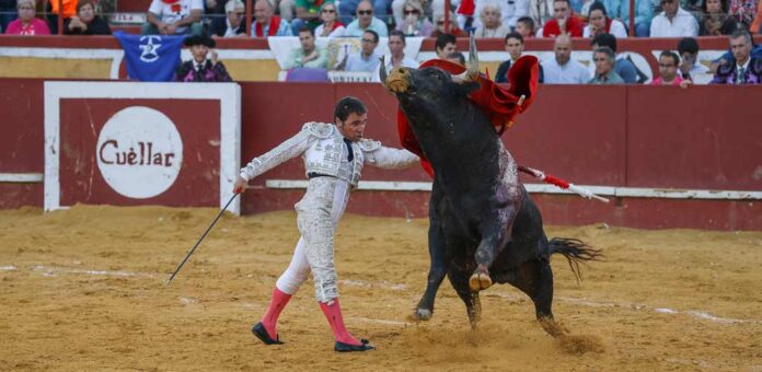 Javier Herrero lidiando un toro de Araúz de Robles en Cuéllar. | Foto: Gabriel Gómez |
