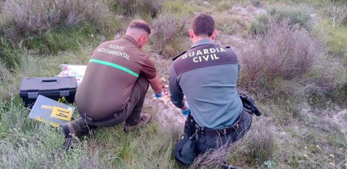 Agentes Medioambientales y de la Guardia Civil investigan la colocación de cebo envenenado en un coto de caza Cuéllar. | Foto: Guardia Civil |