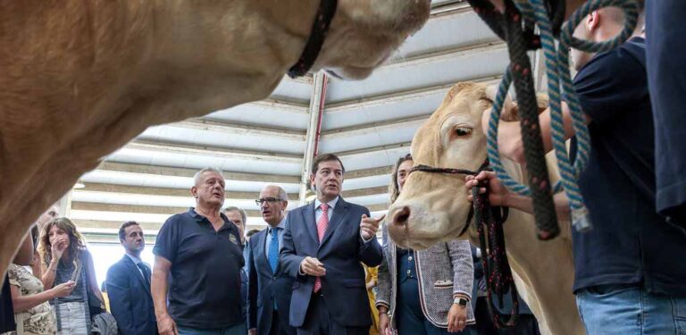 La Junta suspende temporalmente ferias y mercados de ganado como prevención contra la Dermatosis Nodular Contagiosa