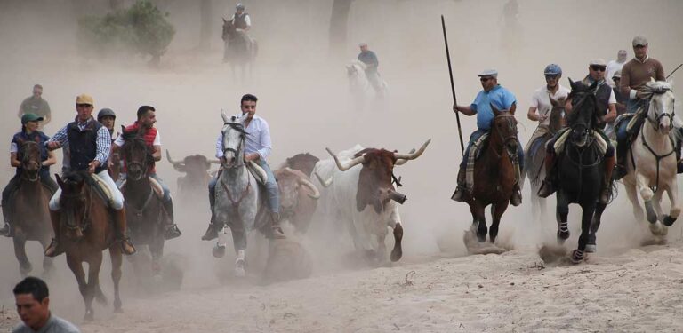 La Asociación Amigos del Caballo disfruta de su tradicional paseo de bueyes