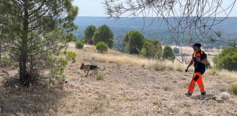 Protección Civil Cuéllar se formará en la búsqueda de personas desaparecidas con perros especializados