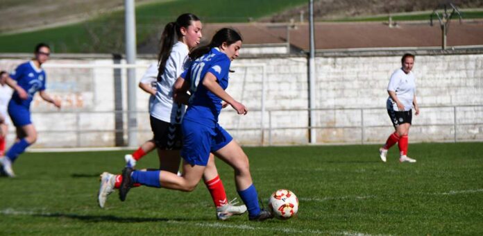 Partido entre el CD Cuéllar femenino y el Arévalo. | Foto: Darío Cachorro |