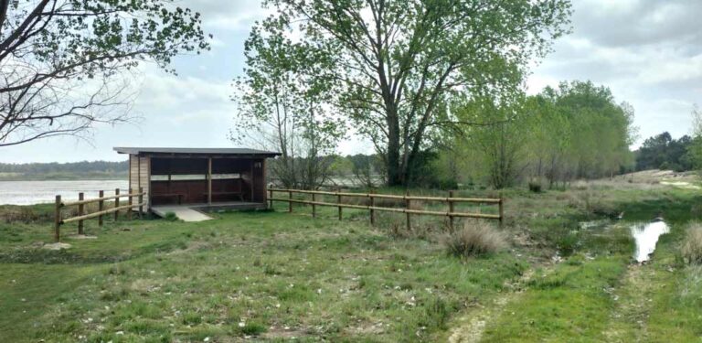 La Fundación Patrimonio Natural lleva a cabo actuaciones para conservar la biodiversidad de El Espadañal