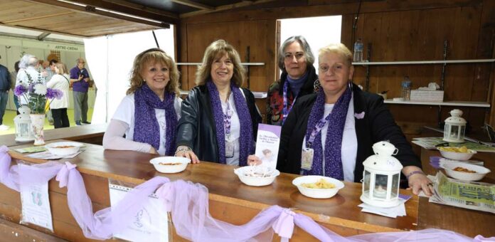 La Asociación de Fibromialgia Cuéllar y Tierra de Pinares da a conocer en el Rincón Solidario de la feria su labor. | Foto: Gabriel Gómez |