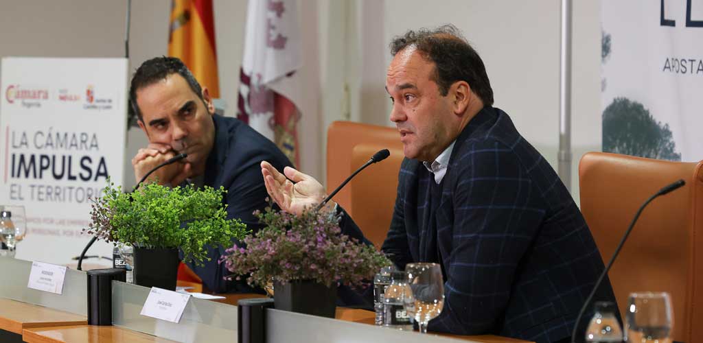 charla-camara-comercio-segovia-cuellar-5-2026-ES-GGG_8276 El economista José Carlos Díez interviene en el evento «La Cámara impulsa el territorio» organizado por la Cámara de Comercio de Segovia en la sala de la biblioteca Cronista Herrera de Cuéllar. | Foto: Gabriel Gómez |