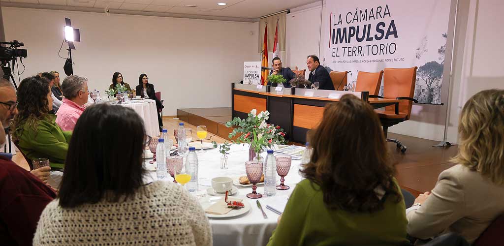 charla-camara-comercio-segovia-cuellar-5-2026-ES-GGG_8283 Evento «La Cámara impulsa el territorio» organizado por la Cámara de Comercio de Segovia en la sala de la biblioteca Cronista Herrera de Cuéllar. | Foto: Gabriel Gómez |