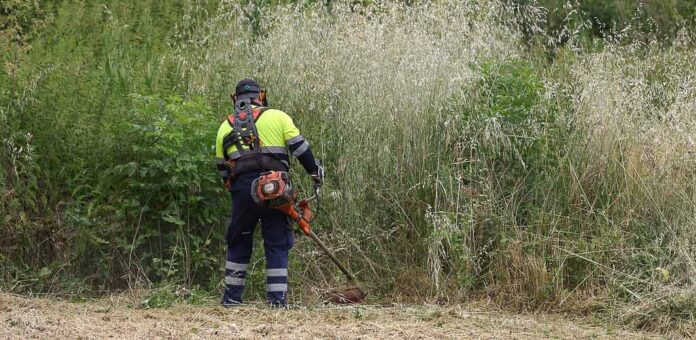 Operario municipal desbrozando la vegetación en una parcela junto al parque de la Huerta del Duque de Cuéllar. | Foto: Gabriel Gómez |