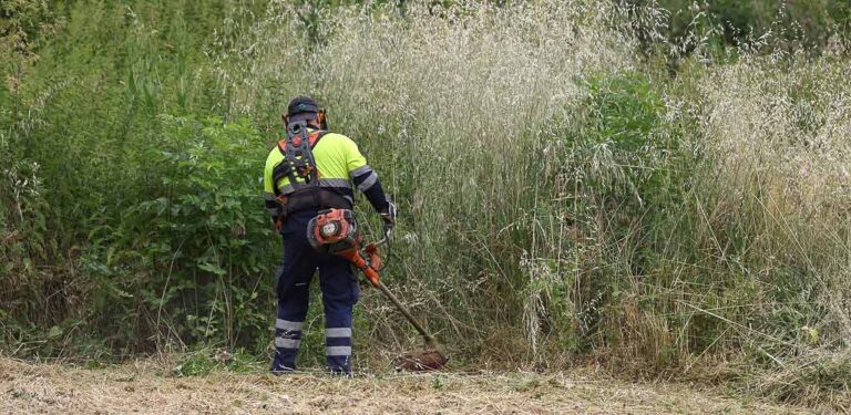 El Ayuntamiento de Cuéllar insta a la limpieza de vegetación en solares privados a través de un bando de alcaldía