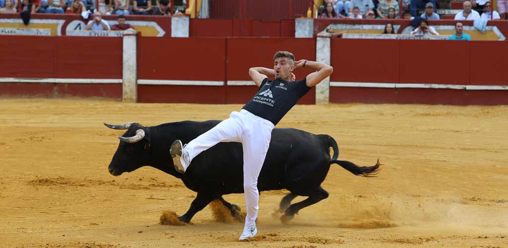 concurso-cortes-viernes-toros-2026-ES-GGG_9274 Concurso de Cortes de Cuéllar 2026. | Foto: Gabriel Gómez |